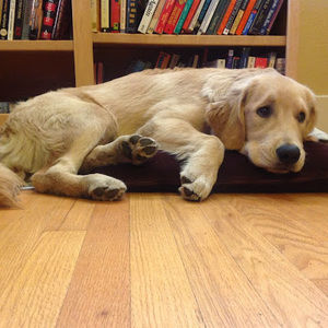 Meet your Posher, Claire